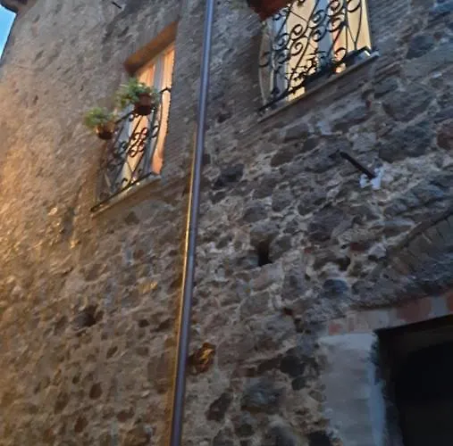 Mg 