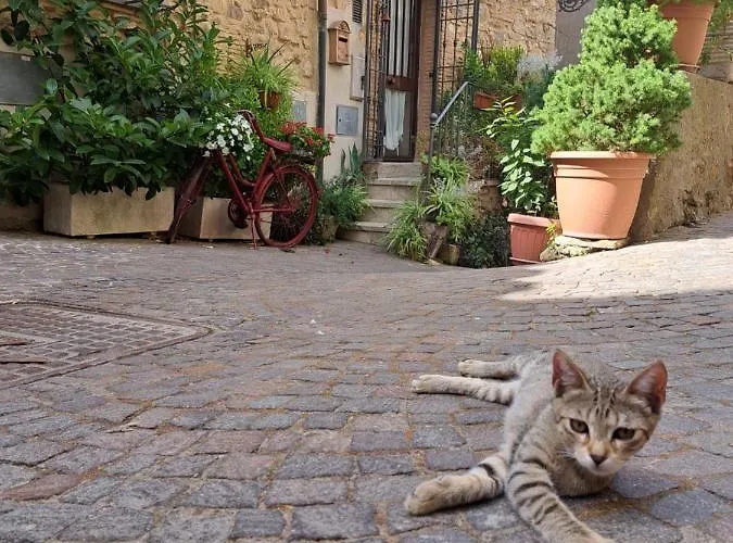 Hébergement de vacances Mgresidencetolfa 